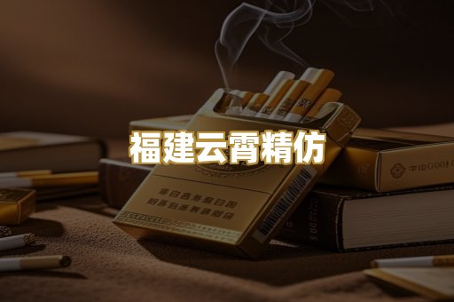 福建云霄精仿